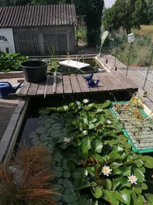 Ein Garten an der Unterkunft Kleines Haus im Oderbruch