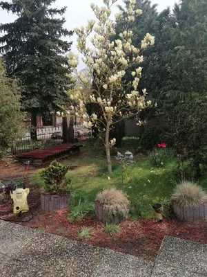 Ein Garten an der Unterkunft Kleines Haus im Oderbruch