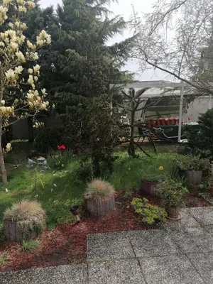 Ein Garten an der Unterkunft Kleines Haus im Oderbruch