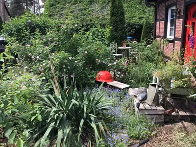 Ein Garten an der Unterkunft Welsh Dragon
