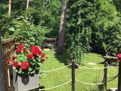Ein Garten an der Unterkunft Welsh Dragon