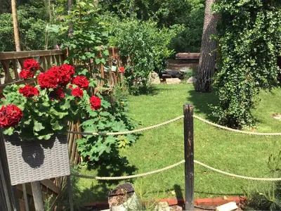 Ein Garten an der Unterkunft Welsh Dragon