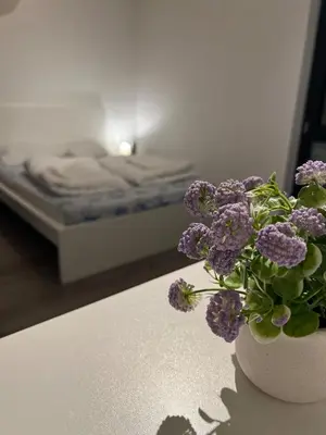 Ein Bett oder Betten in einem Zimmer der Unterkunft Appartment