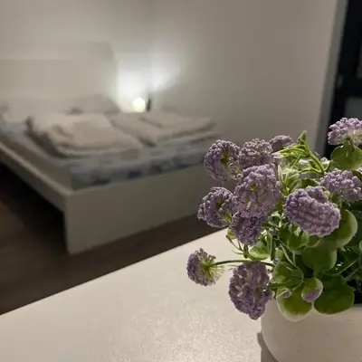 Appartment