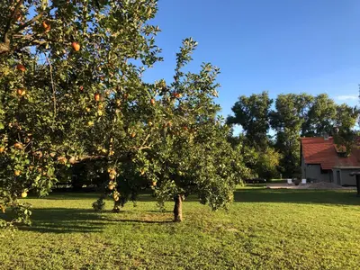 Ein Garten an der Unterkunft Auszeit Separee am See