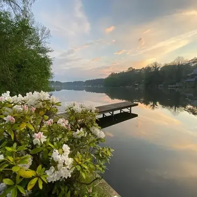 Artvilla am See