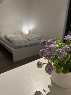 Ein Bett oder Betten in einem Zimmer der Unterkunft Berlin Central Apartment