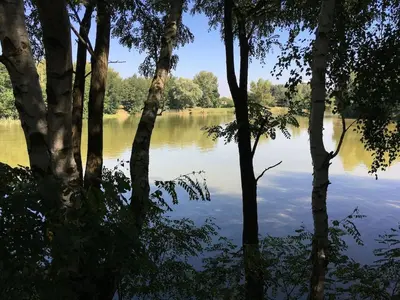 Naturlandschaft in der Nähe der Ferienwohnung