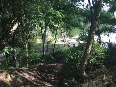 Naturlandschaft in der Nähe der Ferienwohnung