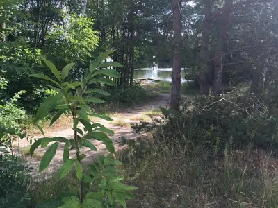Naturlandschaft in der Nähe der Ferienwohnung