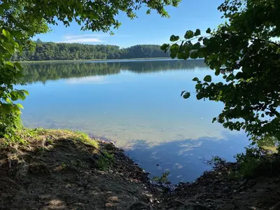 Naturlandschaft in der Nähe des Ferienhauses
