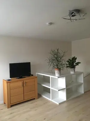 TV/Unterhaltungsangebot in der Unterkunft Lakehouse in Brodowin