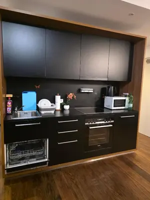 Küche/Küchenzeile in der Unterkunft Bergmann Apartments by Acar