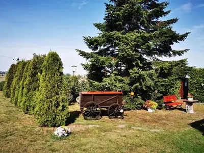 Ein Garten an der Unterkunft Pension zum Wiesengrund - Doppelzimmer