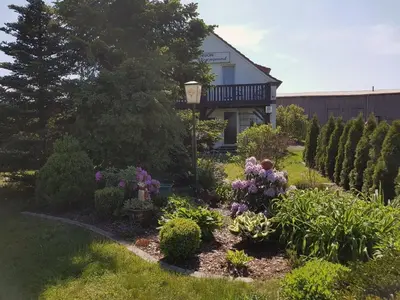 Ein Garten an der Unterkunft Pension zum Wiesengrund - Doppelzimmer