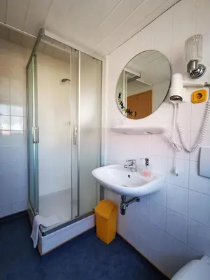 Ein Badezimmer in der Unterkunft Pension zum Wiesengrund - Doppelzimmer