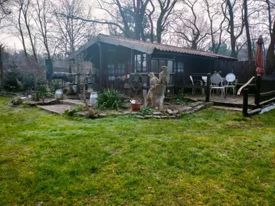Ein Garten an der Unterkunft Holzhaus