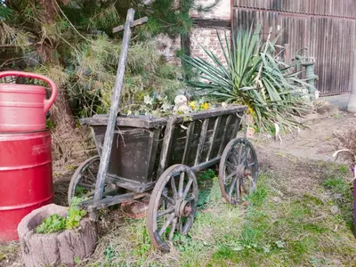 Ein Garten an der Unterkunft Holzhaus