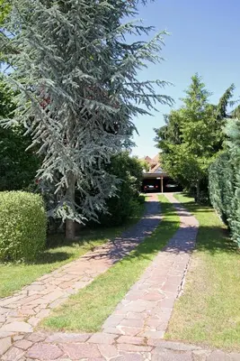 Ein Garten an der Unterkunft Feriendomizil Hönow