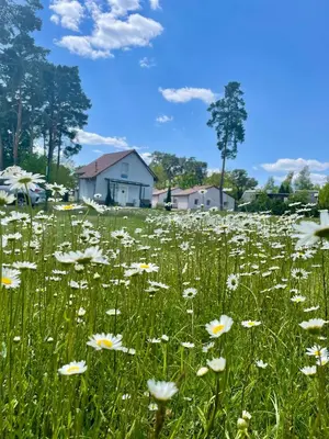 Naturlandschaft in der Nähe des Ferienhauses