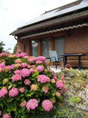 Ein Garten an der Unterkunft Ferienwohnung Borchert