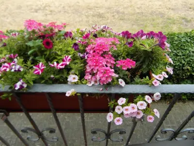 Ein Garten an der Unterkunft Ferienwohnung Borchert