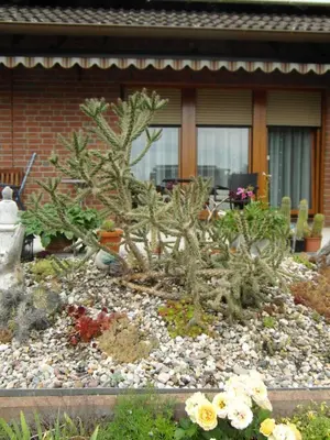 Ein Garten an der Unterkunft Ferienwohnung Borchert
