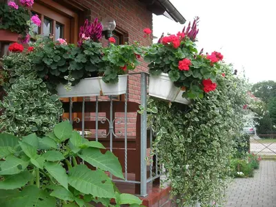 Ein Garten an der Unterkunft Ferienwohnung Borchert