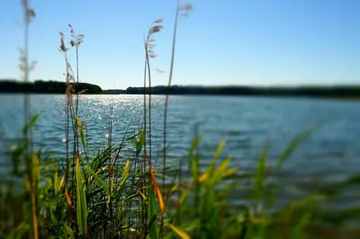 Naturlandschaft in der Nähe der Ferienwohnung