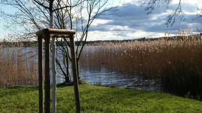 Naturlandschaft in der Nähe der Ferienwohnung