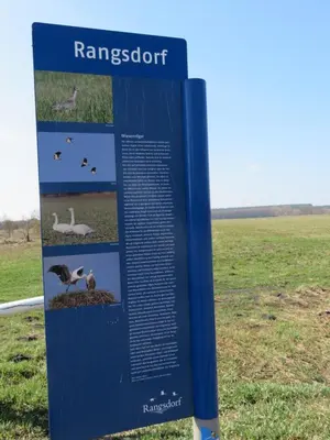 Naturlandschaft in der Nähe des Ferienhauses