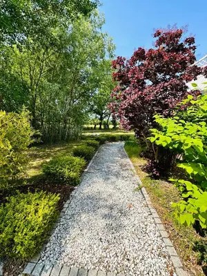 Ein Garten an der Unterkunft Premium Ferienwohnung Ulf-Dieter Kunstmann