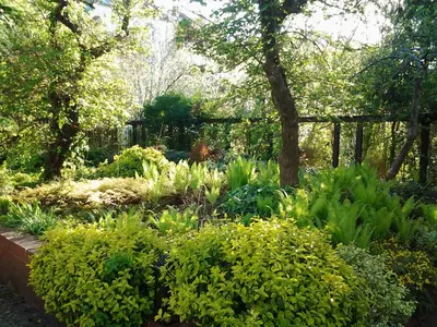 Ein Garten an der Unterkunft Gartenhaus Steffie