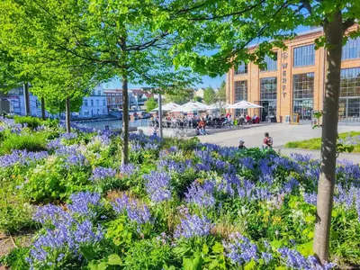 Ein Garten an der Unterkunft Ferienwohnung König