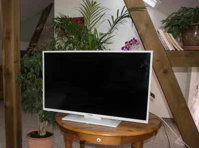 TV/Unterhaltungsangebot in der Unterkunft Blumenhaus