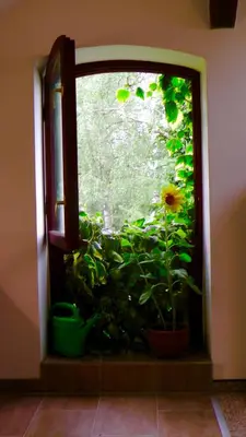 Ein Garten an der Unterkunft Blumenhaus