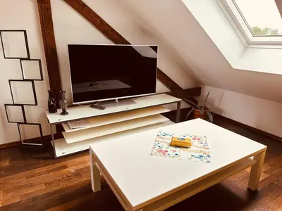 TV/Unterhaltungsangebot in der Unterkunft Moderne Wohnung im Grünen in WRN