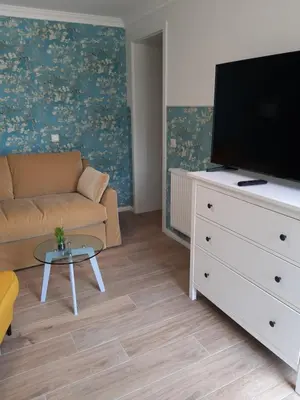 TV/Unterhaltungsangebot in der Unterkunft Guest House Altes Forstamt