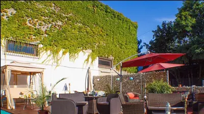 Ein Garten an der Unterkunft Elifim