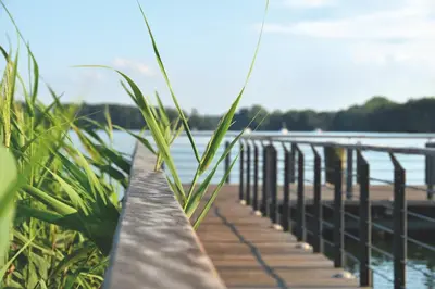 Blick auf einen Fluss in der Nähe der Ferienwohnung