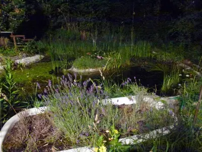 Ein Garten an der Unterkunft Villa-Hufeland