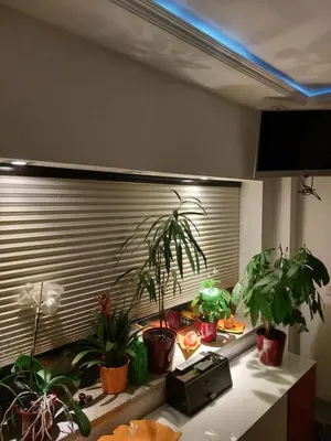 Essen in der Ferienwohnung oder in der Nähe