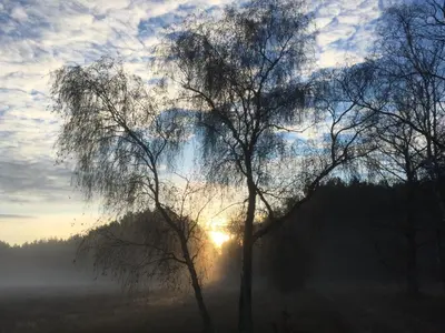 Naturlandschaft in der Nähe der Pension