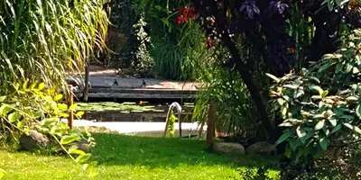 Ein Garten an der Unterkunft Pension an der Elsterbrücke