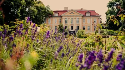 Ein Garten an der Unterkunft Schloss Stülpe