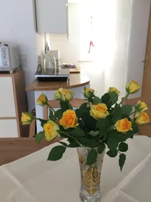 Grundriss der Unterkunft Ferienwohnung Felix am See