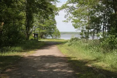 Naturlandschaft in der Nähe der Ferienwohnung