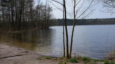 Naturlandschaft in der Nähe des Gasthauses