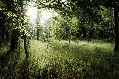 Naturlandschaft in der Nähe der Ferienwohnung