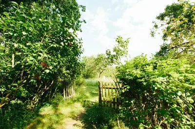 Naturlandschaft in der Nähe der Ferienwohnung